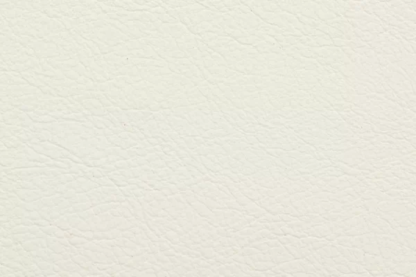 Aniline-Leather-bone Aniline Leather - Bone