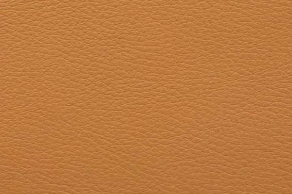 Aniline Leather – Camel Aniline Leather - Camel