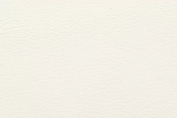 Aniline Leather – White Aniline Leather - White