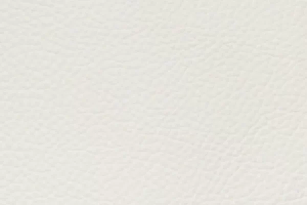 Top Grain Forte – Eggshell Top Grain Forte - Eggshell