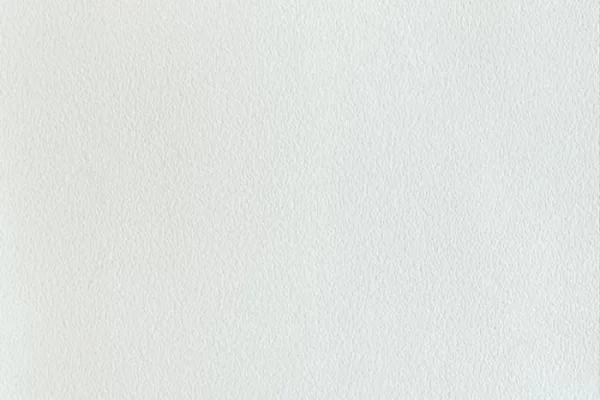 Vegan Leather – Winter White Vegan Leather - Winter White